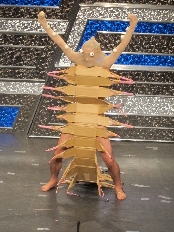 ニセムカデガニモドキの生息地は床下。