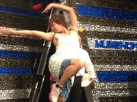 「幻の虫写真コンテスト」で最優秀賞に選ばれた、おじきとタメさんの作品。躍動感あふれる楽しんご虫と、背後の坂虫のコラボが高評価となった。