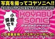 8月18日（土）、19日（日）に、行われる「SUMMER SONIC 2012」にて開催される「小籔を探せ！」看板。