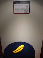 展示品の1つ、若林のペンケース。