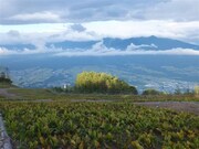 合コンを盛り上げたパノラマビュー。(c)吉本興業