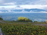 合コンを盛り上げたパノラマビュー。(c)吉本興業