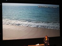 「浜辺で九州を一人で守る人」