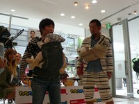 「新米パパ塾 Presents by Aprica」の様子。(c)吉本興業