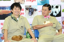 オードリー。モルモットとともに取材に応じた。