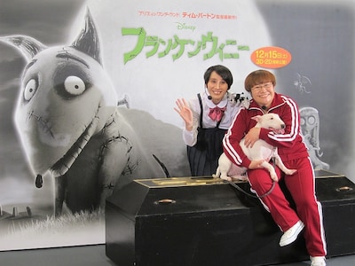 12月15日（土）、3D / 2D同時公開の映画「フランケンウィニー」で声優を務めるハリセンボン。(c)2012Disney Enterprises,Inc.All Rights Reserved.