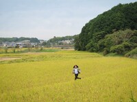 稲穂の海を髪をなびかせ駆け抜けるRG先生。大自然の中で撮影ポイントを多数発見。生徒たちの写真チェックも怠らなかった。