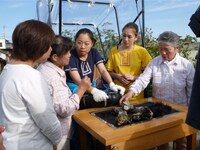 三重県の伊勢志摩を訪れ、素潜り生活で千鳥と対戦するいとうあさこ（中央）、SHELLY（右から2人目）。(c)テレビ朝日