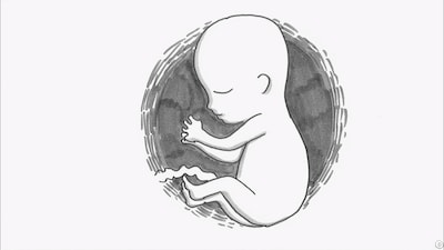 イギリスのロックバンド・MUSE（ミューズ）の最新シングル「Follow Me（フォロー・ミー）」のビデオクリップの一場面。鉄拳がパラパラアニメを手がけた。