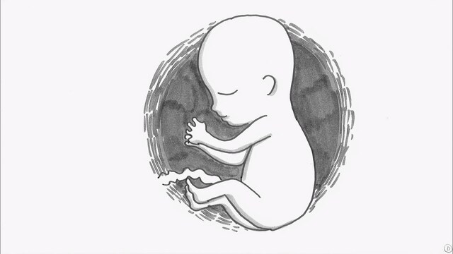 イギリスのロックバンド・MUSE（ミューズ）の最新シングル「Follow Me（フォロー・ミー）」のビデオクリップの一場面。鉄拳がパラパラアニメを手がけた。