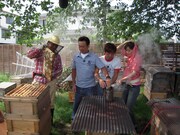 「モヤモヤさまぁ~ず2」。写真はDVD-BOXのVol.16より。(c)テレビ東京