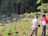 撮影に協力してもらった地元の農家では、さまざまなことを教わったり、お茶や漬物をいただくなどの触れ合いも。