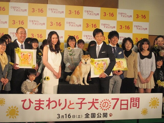 オードリー若林出演の「ひまわりと子犬の7日間」公開記者会見。2013年3月16日（土）新宿ピカデリーほか全国ロードショー。（C）2013「ひまわりと子犬の7日間」製作委員会