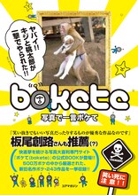 板尾創路が帯にコメントを寄せる書籍「写真で一言 ボケて」の表紙。