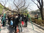 観光地に行かず写真だけ撮る恒例の撮影タイムは皇居をバックに。