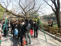 観光地に行かず写真だけ撮る恒例の撮影タイムは皇居をバックに。