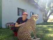 せいじがアフリカ54カ国へ、千原兄弟のゴールデン番組決定