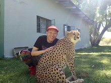 4月スタート「世界の村で発見！こんなところに日本人」より、ナミビアでチーターと触れ合う千原せいじ。(c)ABC