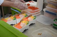 グルメイベント「寺門ジモンのフードパーク マジ！ウマすぎ!! 夢の特選グルメ大集合！」の様子。