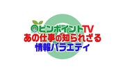 「ピンポイントTV」ロゴ。