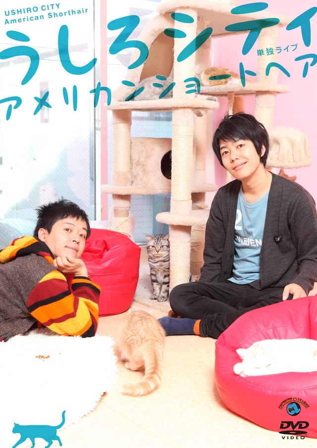 うしろシティのDVD「うしろシティ単独ライブ『アメリカンショートヘア』」ジャケット。