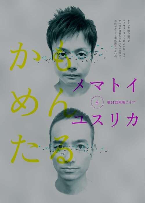 かもめんたる第14回単独ライブ「メマトイとユスリカ」のフライヤー