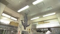 「厨房忍者」（NHK提供）