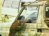 「世界まる見え！ テレビ特捜部 一緒に未来貢献！ 危機一髪からの明るい未来SP」(c)日本テレビ