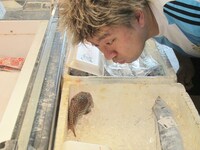 日本の魚に興味津々のメッシ。