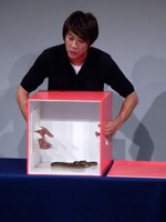 芸歴22年にして初めて「箱の中身はなんでしょね」に挑戦する木本。箱の中身は蛇。