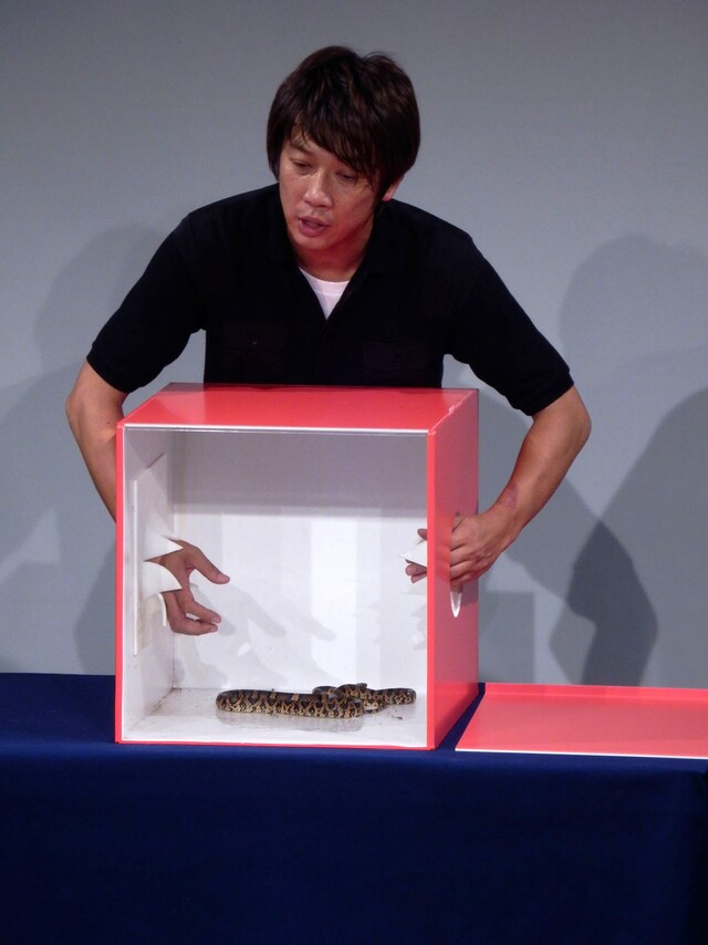 芸歴22年にして初めて「箱の中身はなんでしょね」に挑戦する木本。箱の中身は蛇。