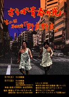 単独ライブ「野良野良」チラシ