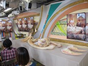 トークショーのスタジオに展示された塚地の衣装。