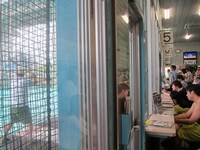 すーなかのバッティングを見守るタレント。