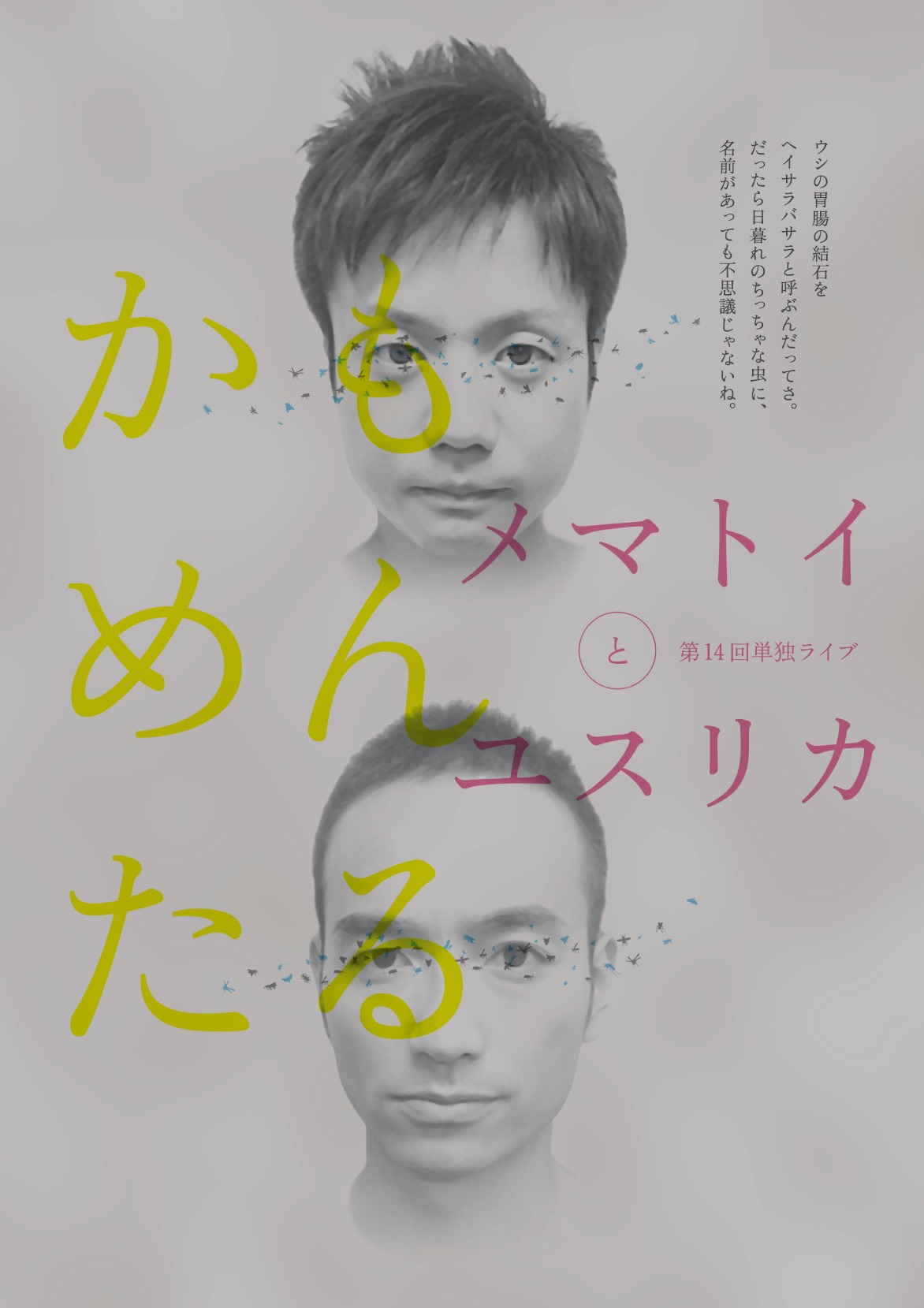 かもめんたる 第14回単独ライブDVD「メマトイとユスリカ」