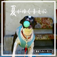 鶯谷フィルハーモニー「夏がゆくまえに」ジャケット。(c)2013 YOSHIMOTO R and C