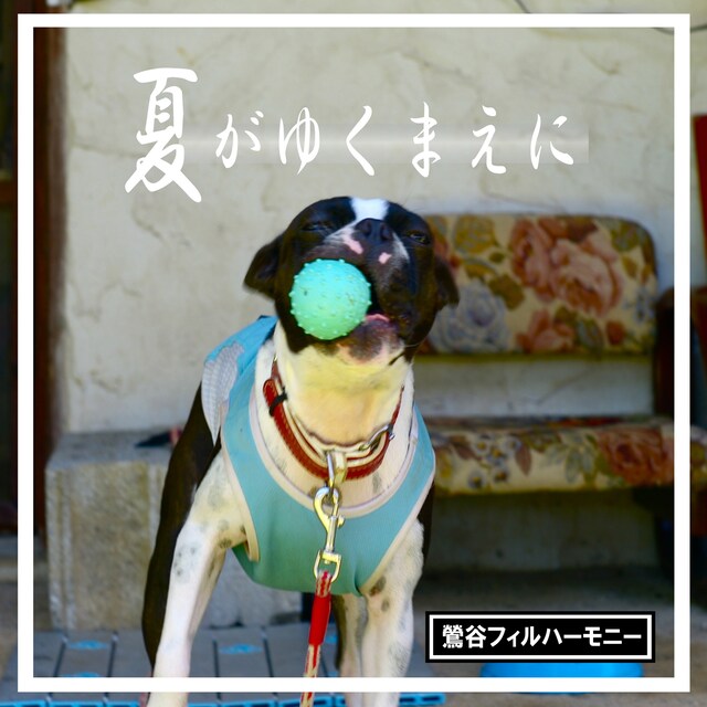 鶯谷フィルハーモニー「夏がゆくまえに」ジャケット。(c)2013 YOSHIMOTO R and C