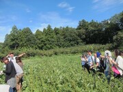 農家風のコスプレで急に訛って喋るRG。そんなRGのいも掘り姿を激写する参加者たち。