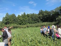 農家風のコスプレで急に訛って喋るRG。そんなRGのいも掘り姿を激写する参加者たち。