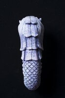 片桐作「e-ma-ライオン」(c)講談社／大坪尚人