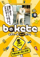 「写真で一言 ボケて」の表紙（帯なし）