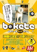 千原ジュニアが帯にコメントを寄せる書籍「写真で一言 ボケて」の表紙。