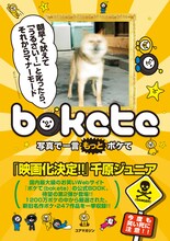 千原ジュニアが帯にコメントを寄せる書籍「写真で一言 ボケて」の表紙。