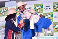 カイくんとスキンシップを図るキンタロー。（手前左）。