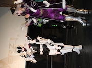 ご当地ヒーローを紹介するゴー☆ジャス（右）。