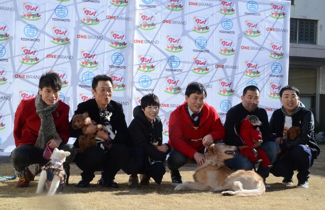 「ワン！ダフル」プロジェクトのキックオフ記者会見後のフォトセッションの様子。