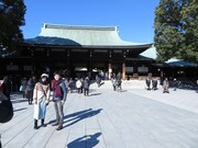 多くの人で賑わう明治神宮。