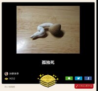 狩野が投稿した人気回答の一例。