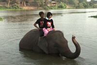 タイで象の調教を習う佐藤かよ。