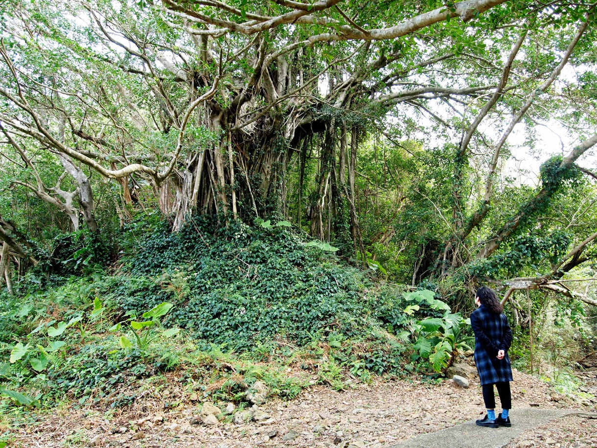 「又吉直樹、島へ行く。 母の故郷～奄美・加計呂麻島へ 」(c)BSジャパン